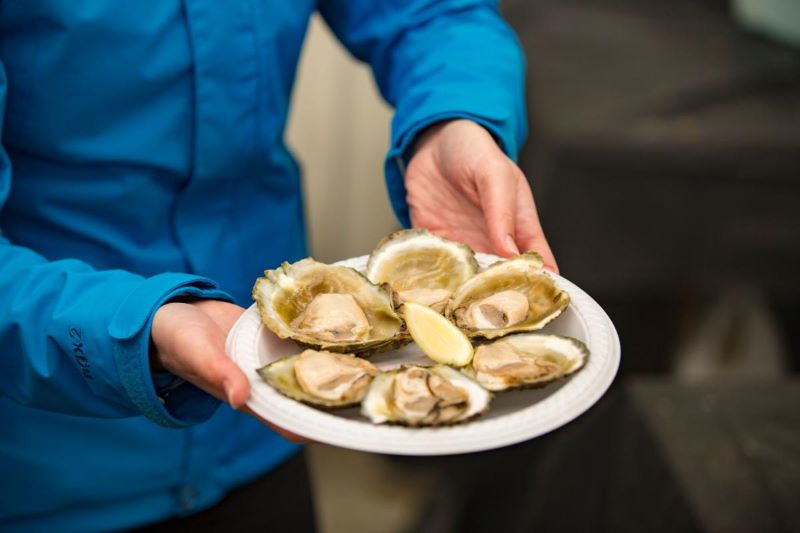 Wisata Kuliner Auckland Selandia Baru, Jelajahi Kelezatannya