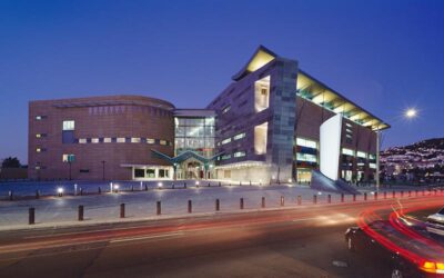 10 Tempat Wisata Ramah Anak di Wellington yang Wajib Masuk List Liburan Keluarga