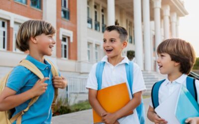 Info Sekolah Negeri Selandia Baru, Panduan Lengkap Sistem Pendidikan dan Keunggulannya