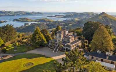 Pesona Lengkap Tempat Wisata di Dunedin Selandia Baru: Surga Sejarah, Alam, dan Budaya di Selatan Negeri Kiwi