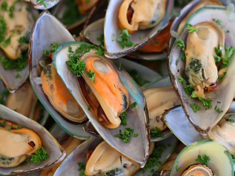 Green-lipped Mussels New Zealand, Hidangan Laut Favorit Pecinta Wisata Kuliner