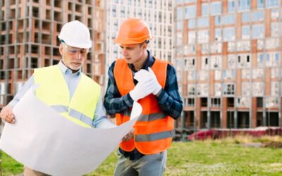 Peluang Kerja di New Zealand 2026, Sektor Paling Dicari dan Estimasi Gaji