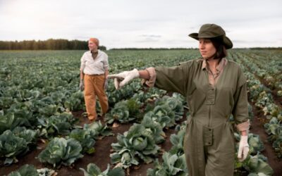 Peluang Kerja di Pertanian Selandia Baru, Migrasi ke New Zealand untuk Orang Indonesia