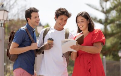 Kuliah di Selandia Baru Bisa Langsung Kerja? Ini Universitas dengan Peluang Terbesar!