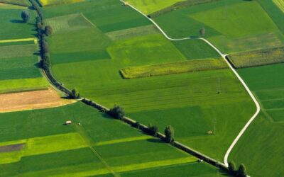 Cara Dapat Pekerjaan Pertanian di Selandia Baru 2026