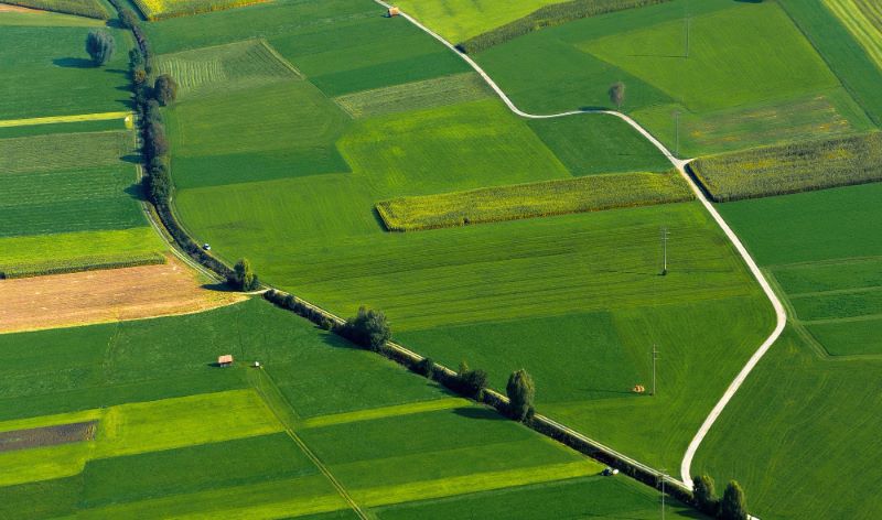 Cara Dapat Pekerjaan Pertanian di Selandia Baru 2026