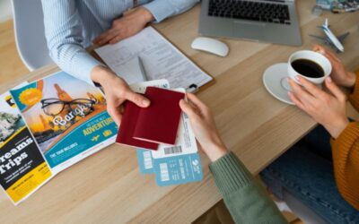 Visa New Zealand Ditolak Apakah Bisa Banding atau Harus Ajukan Permohonan Baru?