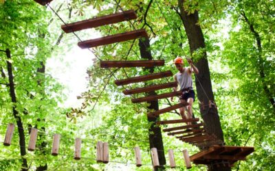Ziptrek Ecotours: Wisata Petualangan yang Mengajarkan Konservasi Alam dengan Cara Paling Menyenangkan