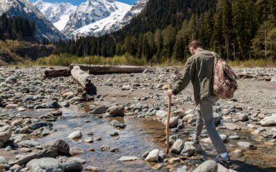 Eksplorasi Jalur Trekking Bebas Biaya Valley Walks New Zealand