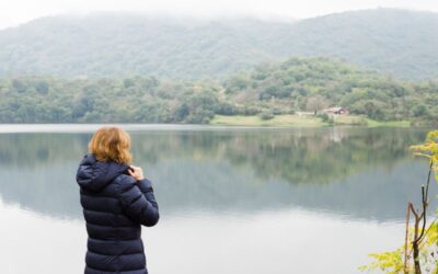 Fakta Unik Danau Matheson Danau Cermin New Zealand