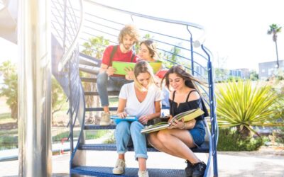 Mengenal Sistem Pendidikan Selandia Baru: Jenis Sekolah Favorit Dunia!