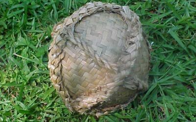 Permainan Bola Tradisional Māori dari Selandia Baru Kī-o-Rahi