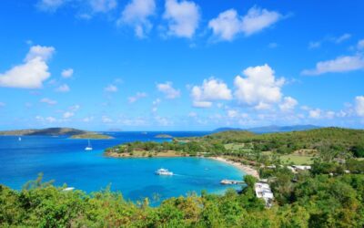 Pesona Waiheke Island: Destinasi Wisata Populer New Zealand